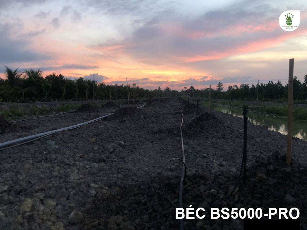 Béc bù áp BS5000-Pro tưới cho vườn dài 300m ở An Giang