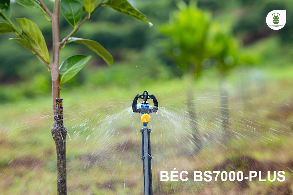Béc BS7000-Plus là một sản phẩm tuyệt vời để tưới cho cây mít.